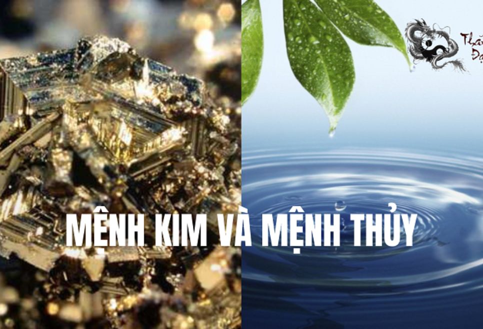 Tôn Hoa Sen màu trắng sữa hợp với gia chủ mệnh nào?
